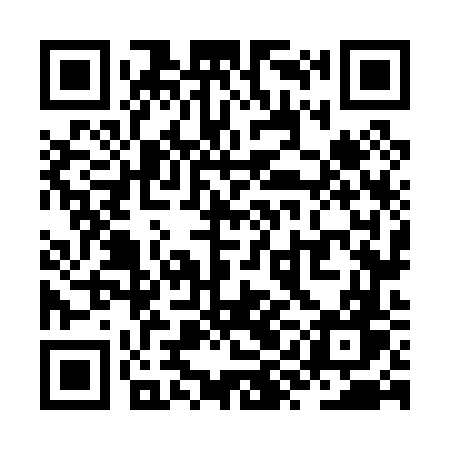 QR code for ZYN06W