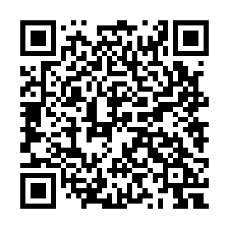 QR code for ZYN12G