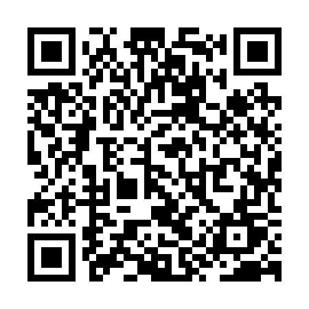 QR code for ZYY27T