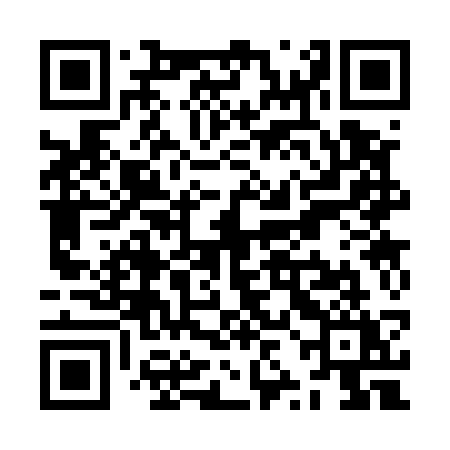 QR code for ZZC53Y