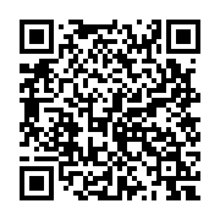 QR code for ZZG17N