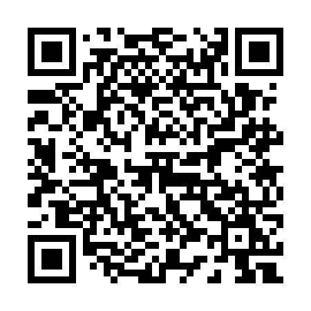 QR code for 0335NM
