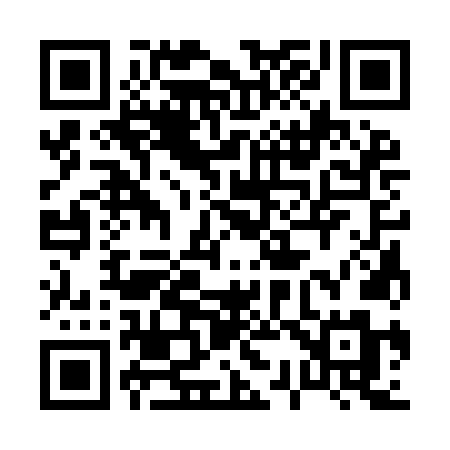 QR code for 0339NM