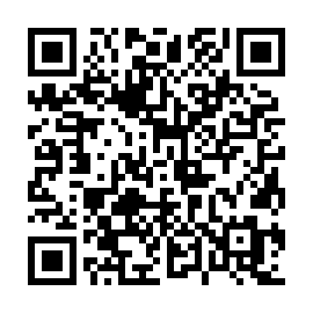 QR code for 0438NM