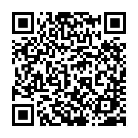 QR code for 0638NM