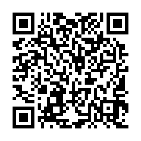 QR code for 0NM313