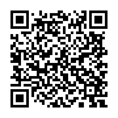 QR code for 11NM46