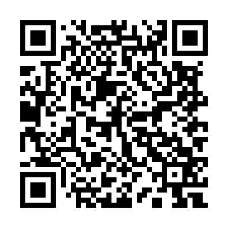 QR code for 12NM63