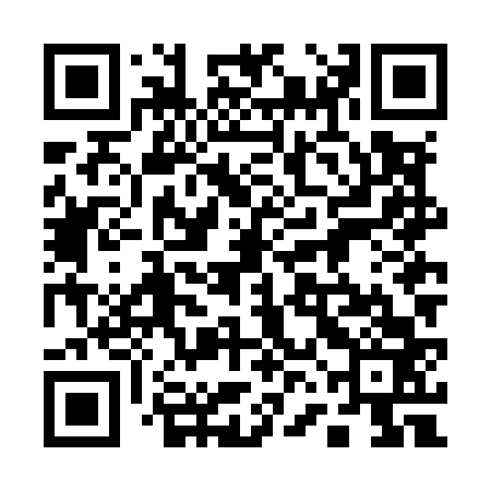 QR code for 16NM63