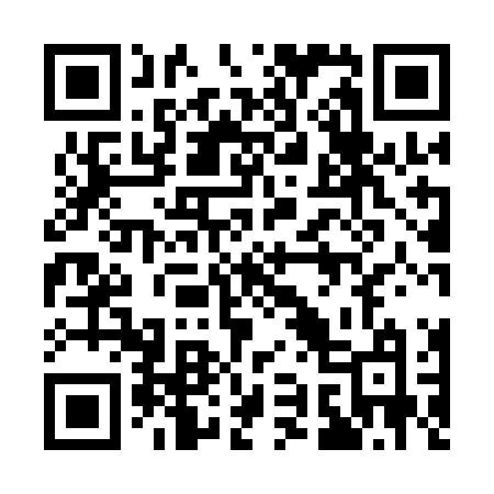 QR code for 1991NM