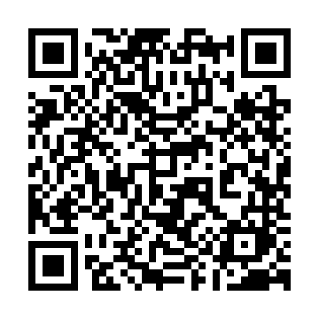 QR code for 1993NM
