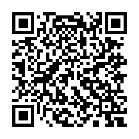QR code for 1994NM