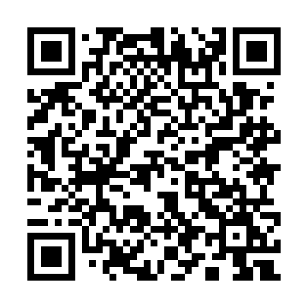 QR code for 1995NM