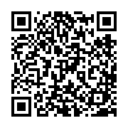 QR code for 2006NM