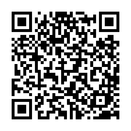 QR code for 2007NM