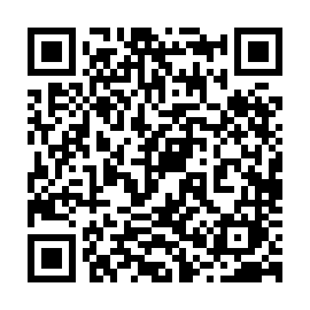 QR code for 2008NM