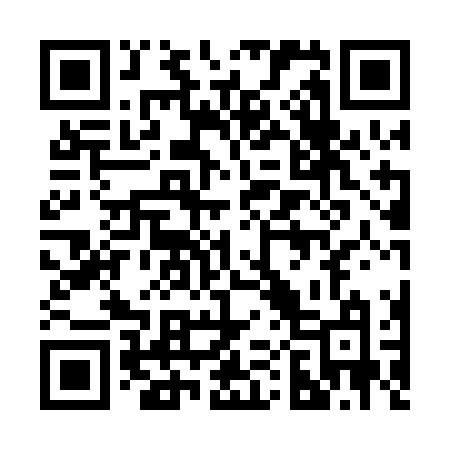 QR code for 2010NM