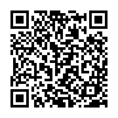 QR code for 2011NM