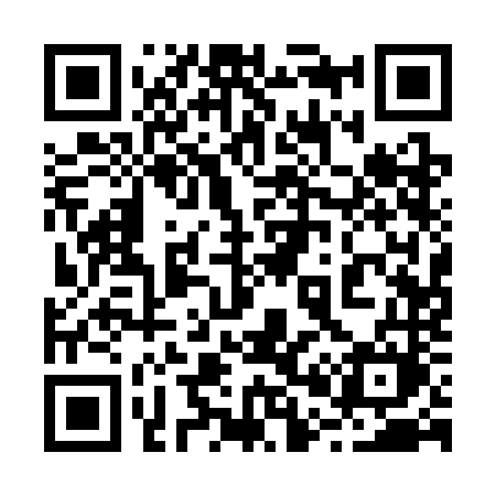 QR code for 2013NM