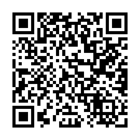 QR code for 225NM1