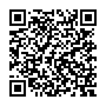 QR code for 291NM1