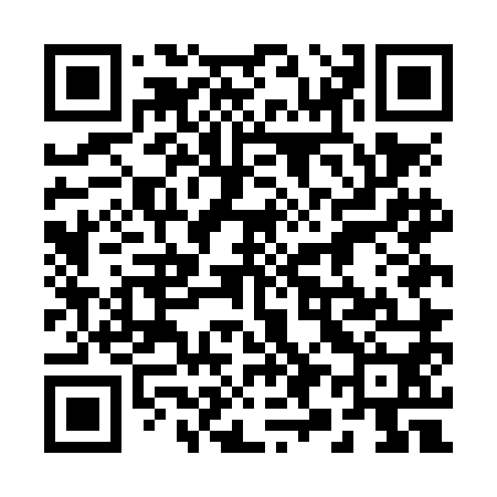 QR code for 295NM0