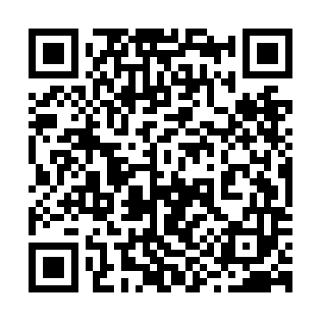 QR code for 295NM3