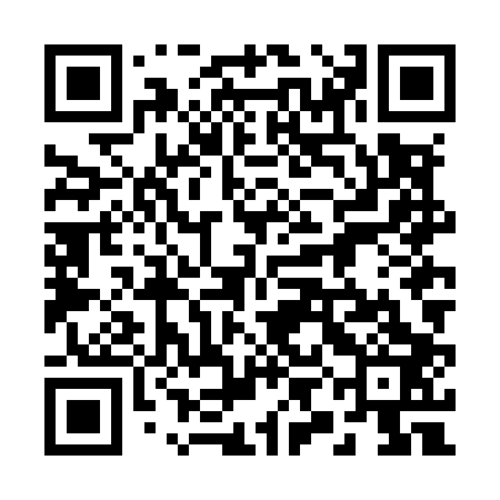 QR code for 29NM03