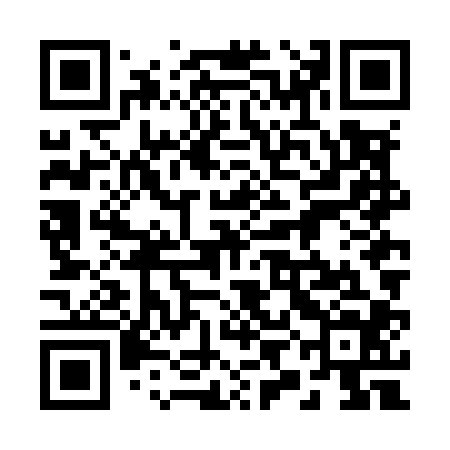 QR code for 29NM04