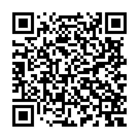 QR code for 29NM06