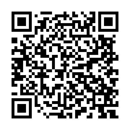 QR code for 29NM07