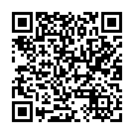 QR code for 29NM11