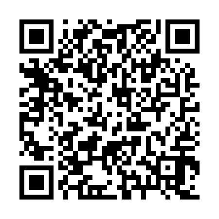 QR code for 29NM12