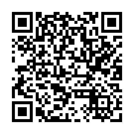 QR code for 29NM31