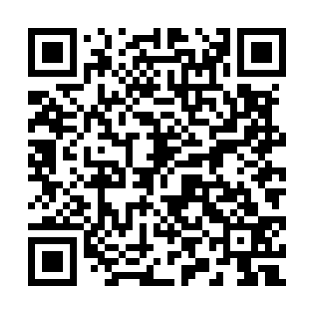 QR code for 29NM33