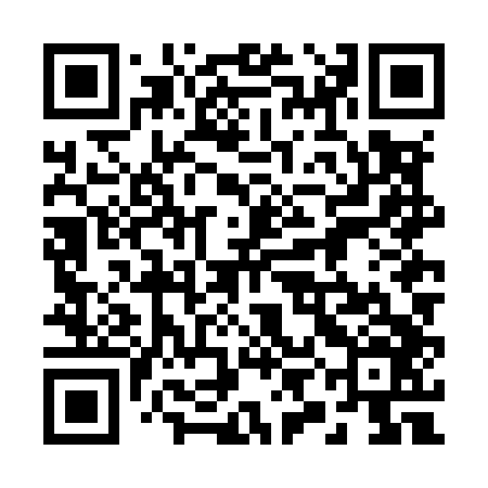 QR code for 29NM46