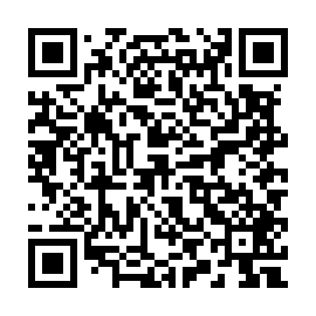 QR code for 29NM49