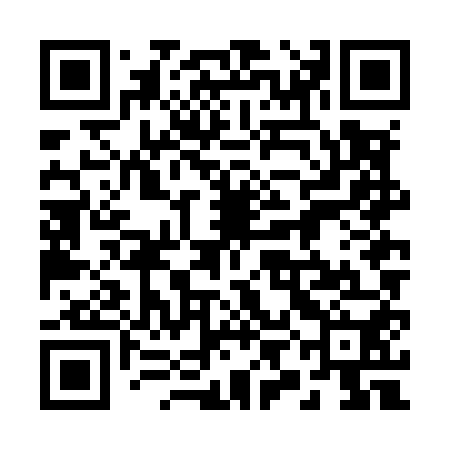 QR code for 29NM50