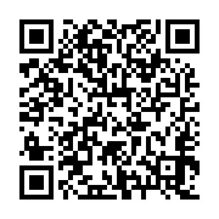 QR code for 29NM53