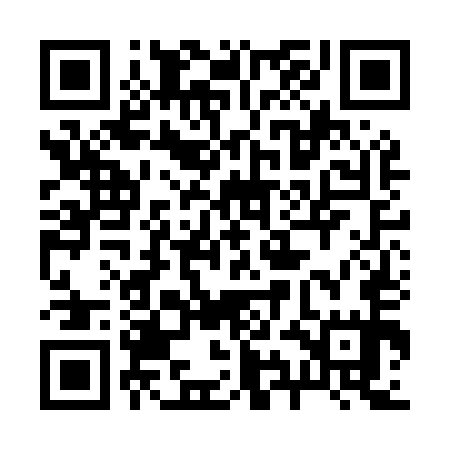 QR code for 29NM55