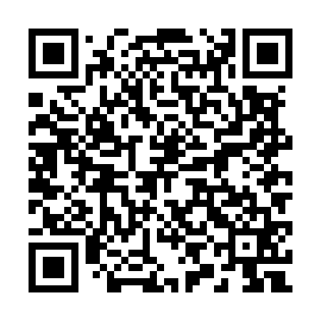 QR code for 29NM61