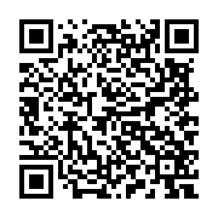 QR code for 29NM66