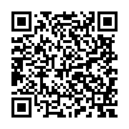QR code for 29NM81