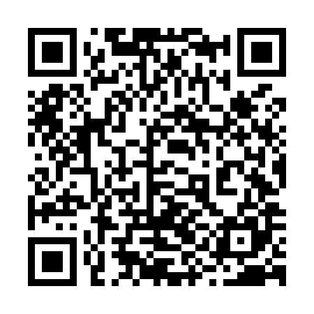 QR code for 29NM85