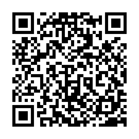 QR code for 29NM95