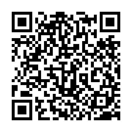 QR code for 313NM1