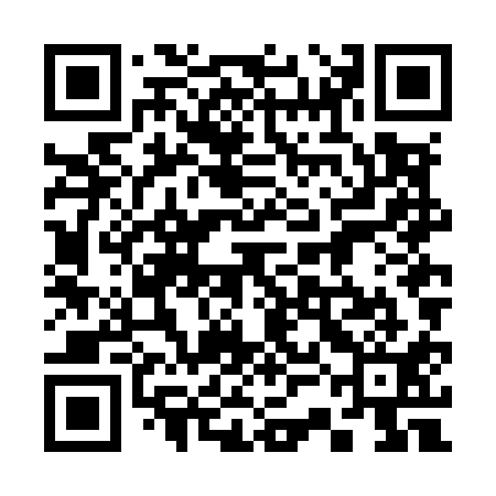 QR code for 33NM11