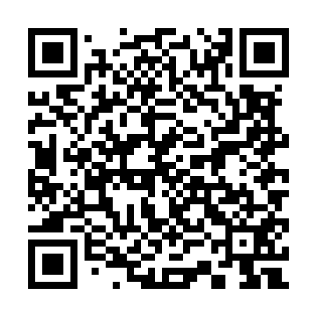 QR code for 33NM51