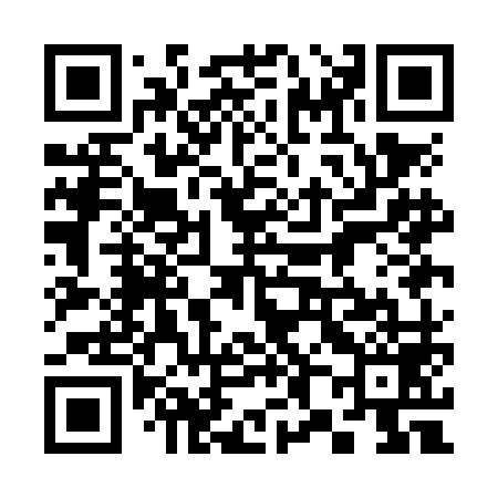 QR code for 381NM9
