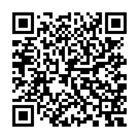 QR code for 386NM2